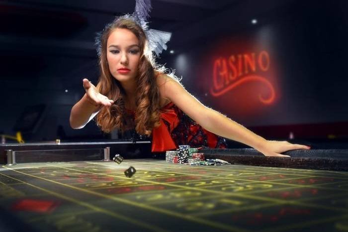 Dragon Tiger Live dealer and betting interface on suduttoto mobile